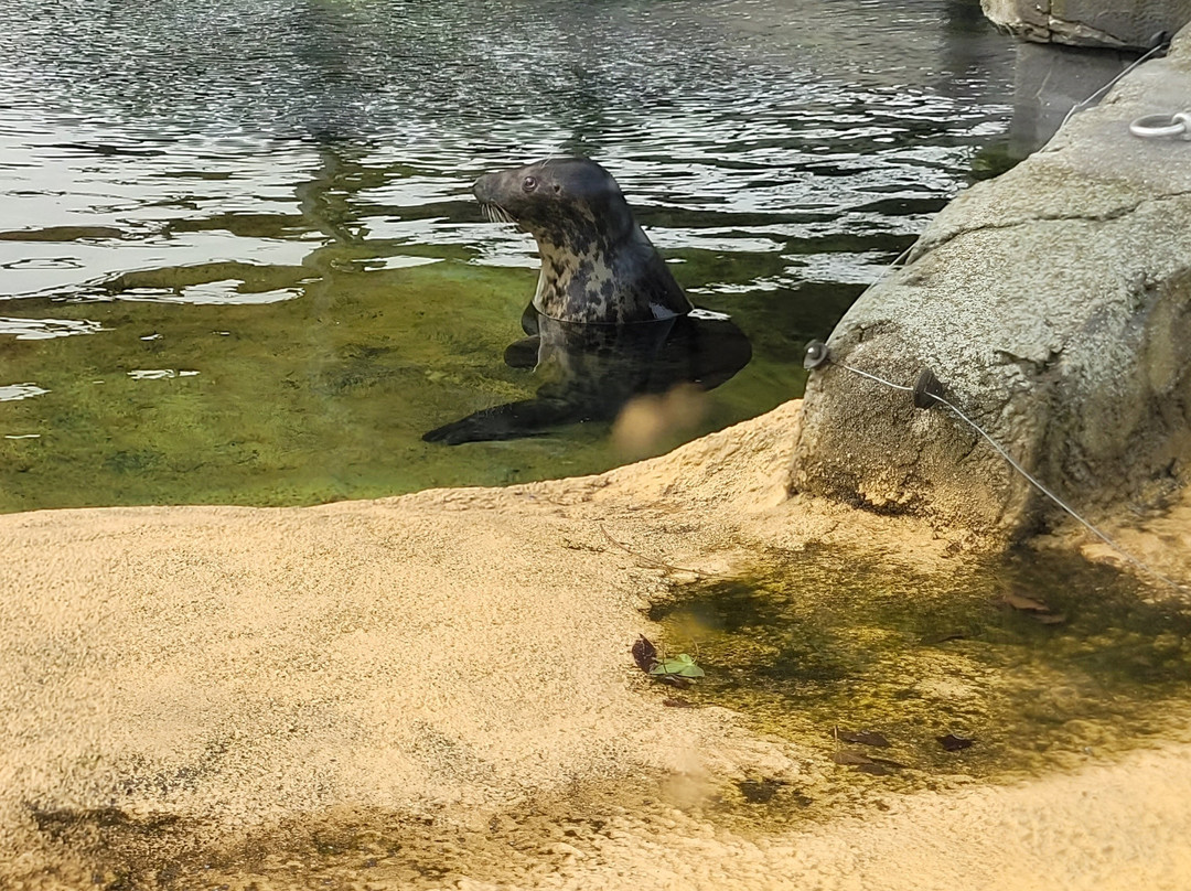 Sea Life Blankenberge-布朗肯堡必去景点