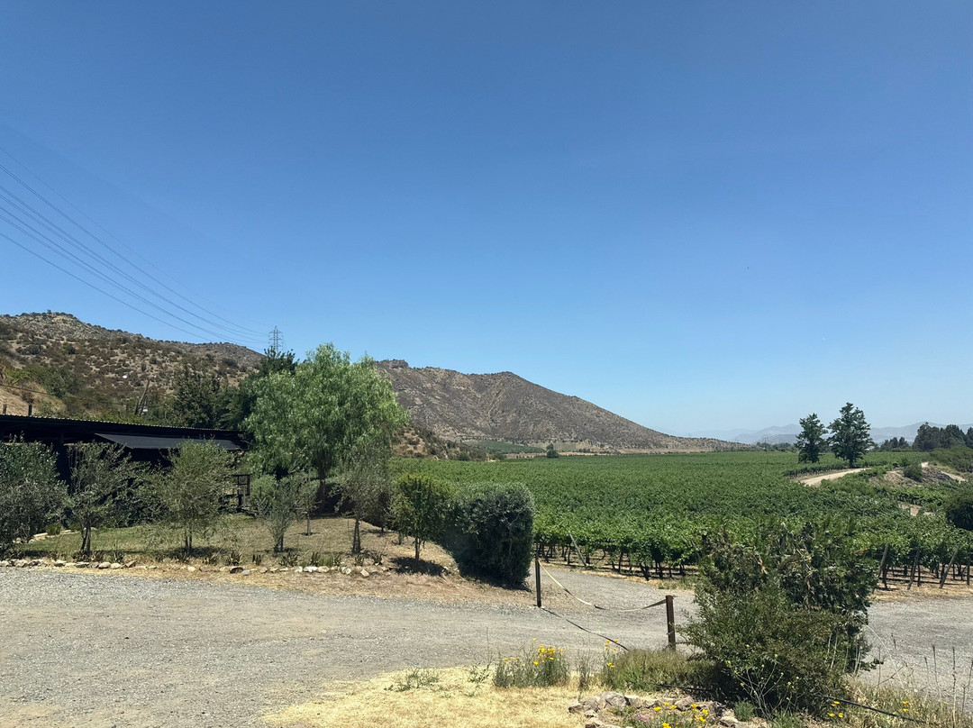 Besoain Wines-Pirque必去景点