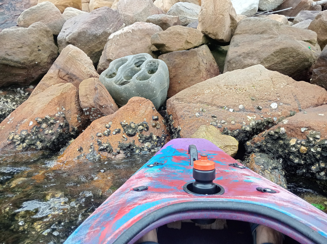 Sydney by Kayak-北悉尼必去景点