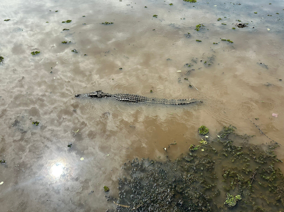 Crocodile Lake-Cat Tien National Park必去景点