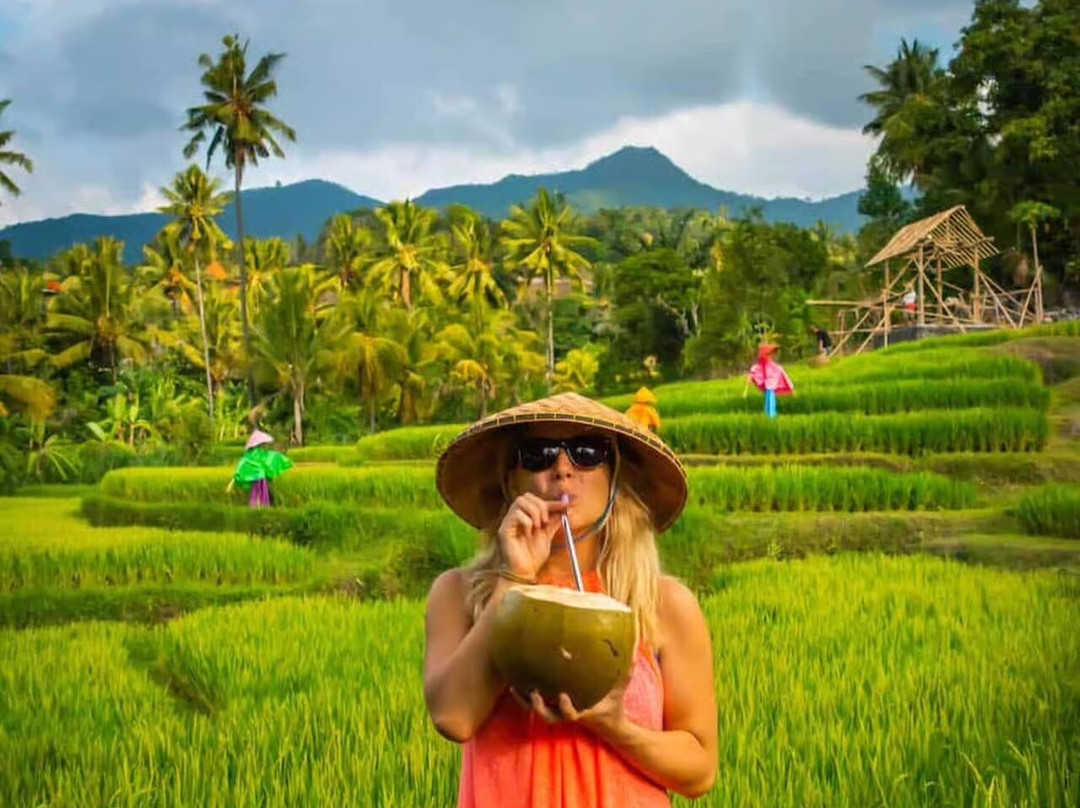 Best Ubud Driver-乌布必去景点