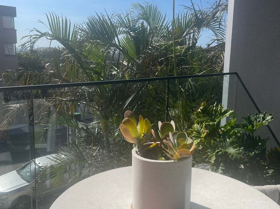 The Albert Hotel Mosman主图