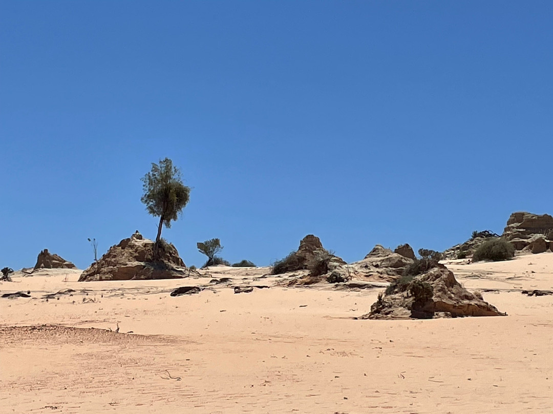 Discover Mildura - Day Tours-米尔杜拉必去景点