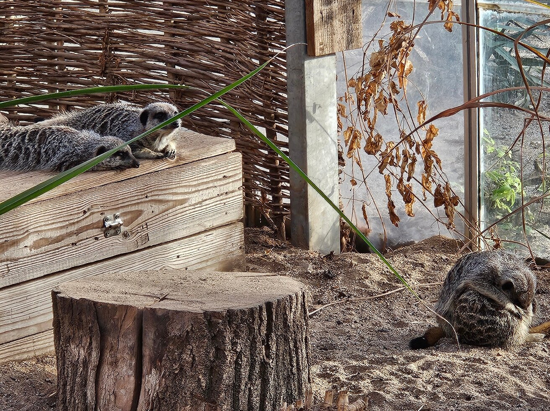 Bristol Zoo Project-Easter Compton必去景点