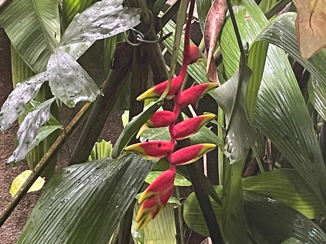 Sri Yoga Shala-乌纳瓦图纳必去景点