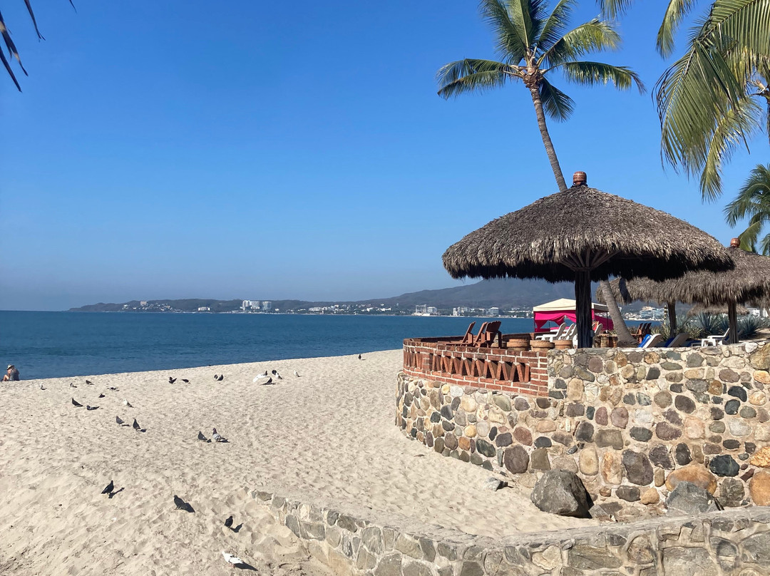 Los Picos Hotel & Suites Bucerias主图