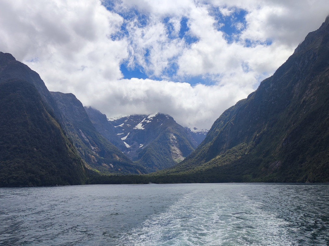 Kiwi Experience-奥克兰中心地区必去景点
