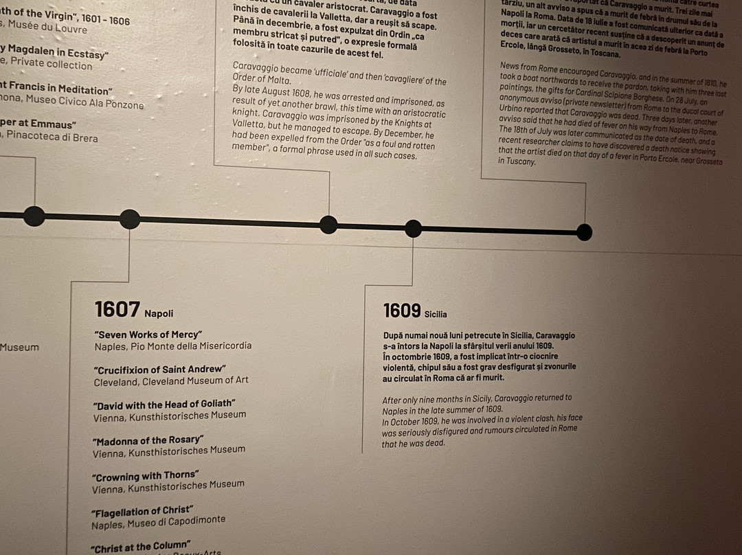 Muzeul Național de Artă Timișoara-蒂米什瓦拉必去景点