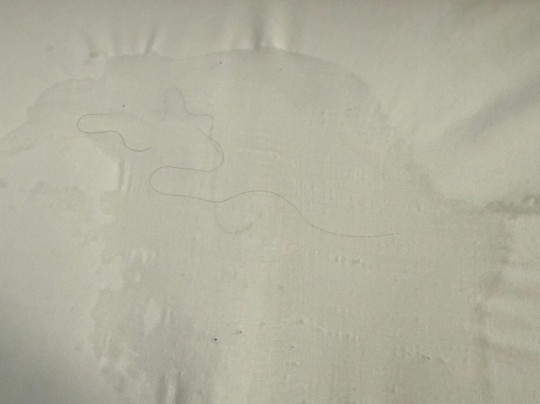 Microtel Inn & Suites by Wyndham Eagan/St Paul主图