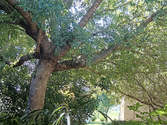 Aqua Terra Guest House主图