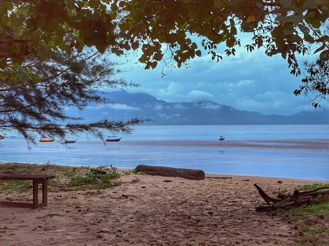 Bako National Park-古晋必去景点