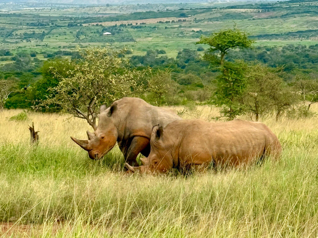 Kadoo Travels-吉佳利必去景点