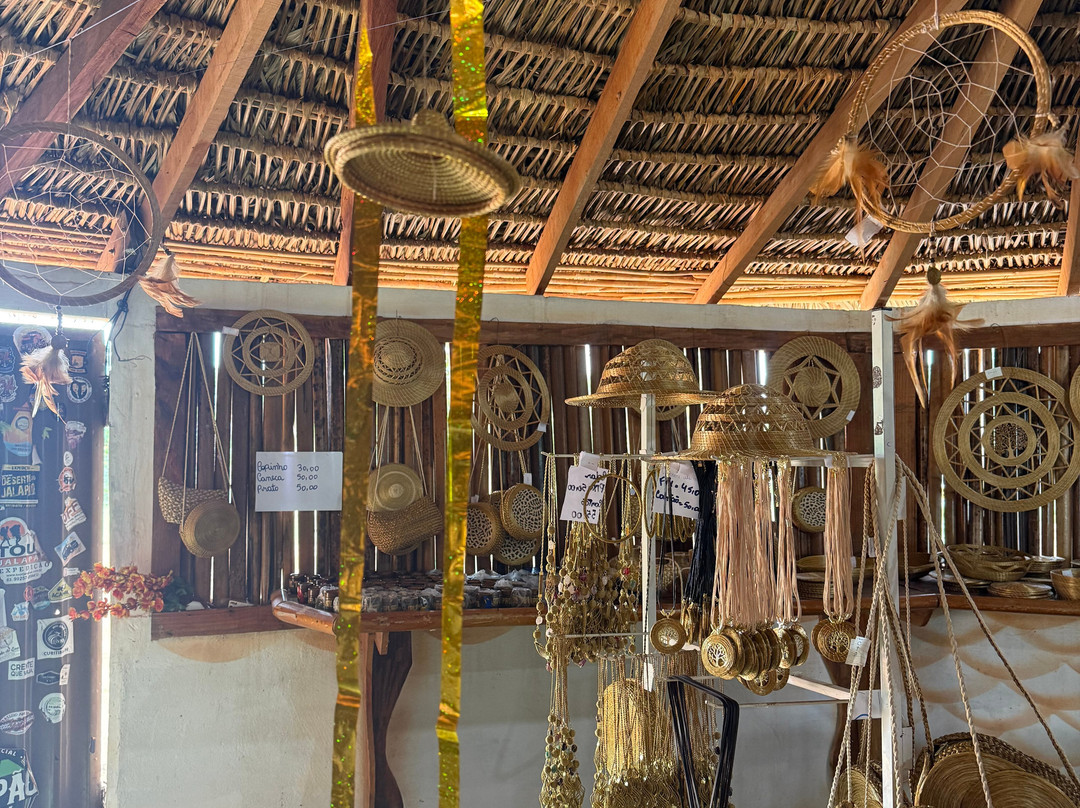 JALAPÃO OFICIAL-Palmas必去景点