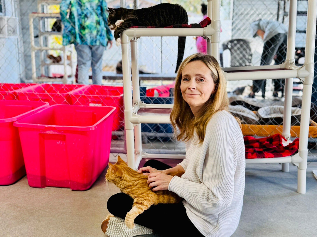 Blind Cat Rescue & Sanctuary-Saint Pauls必去景点