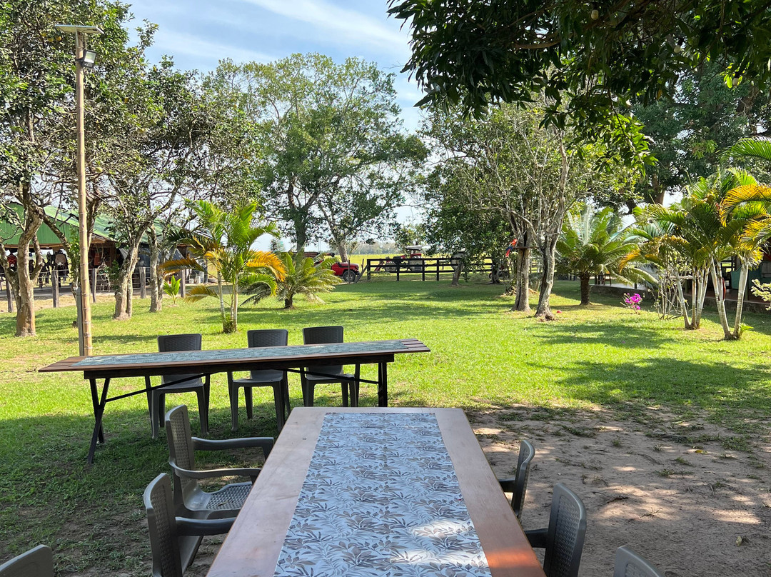 Cunaguaro Travel-Yopal必去景点