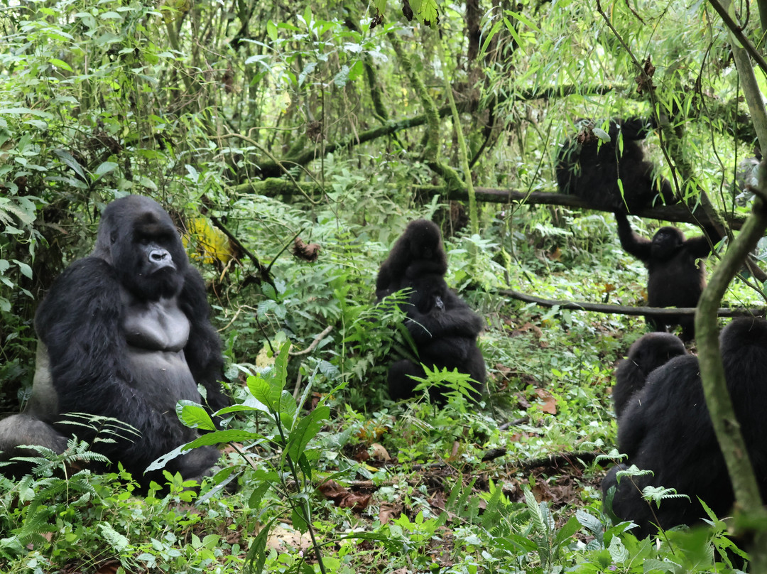 Empirical Tour and Travel Ltd-吉塞尼必去景点