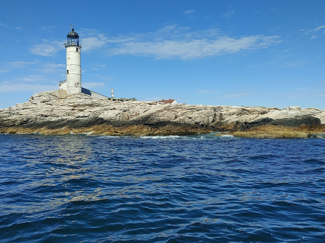 Seacoast Boat Charters-New Castle必去景点