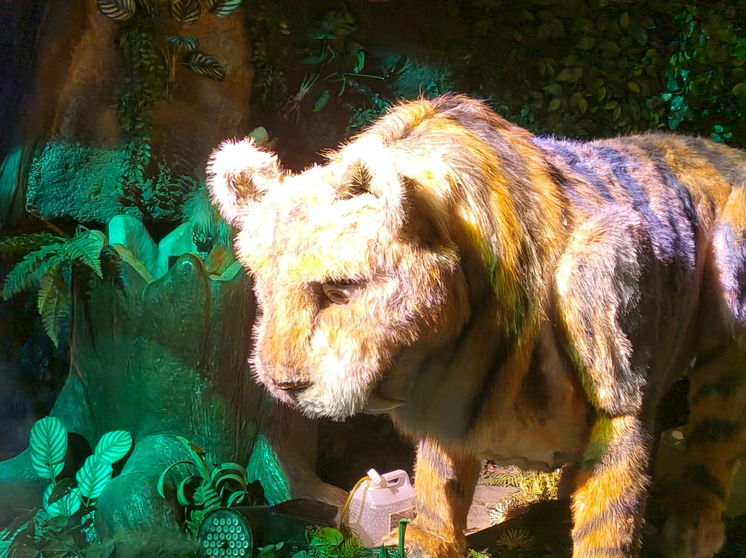 泰拉魔幻公园-卡内拉必去景点