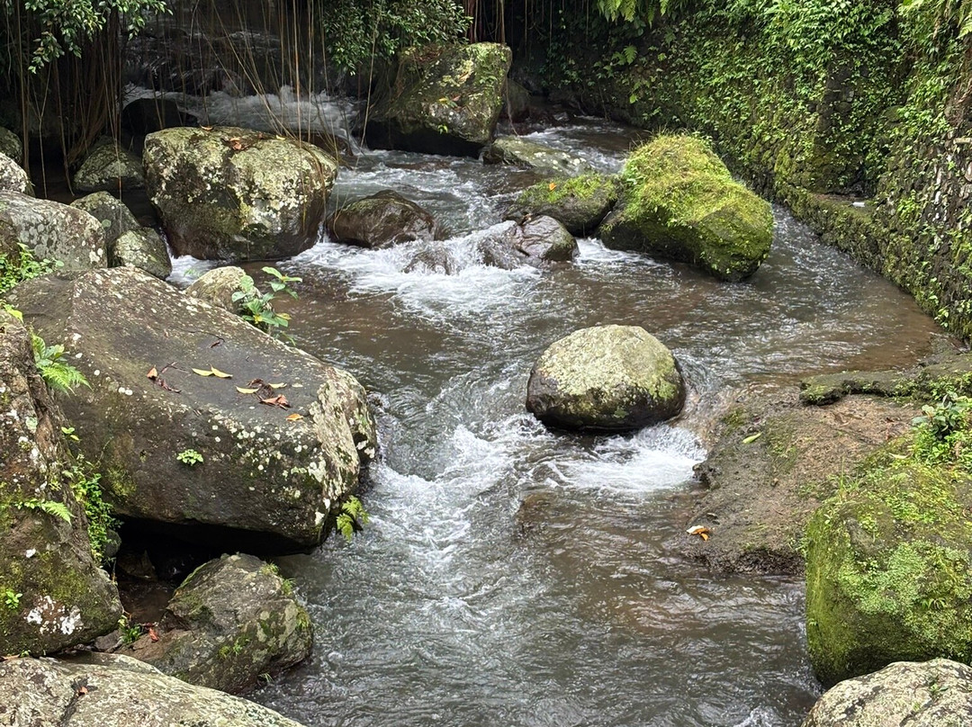古农卡威斯巴图圣泉寺-Sebatu必去景点