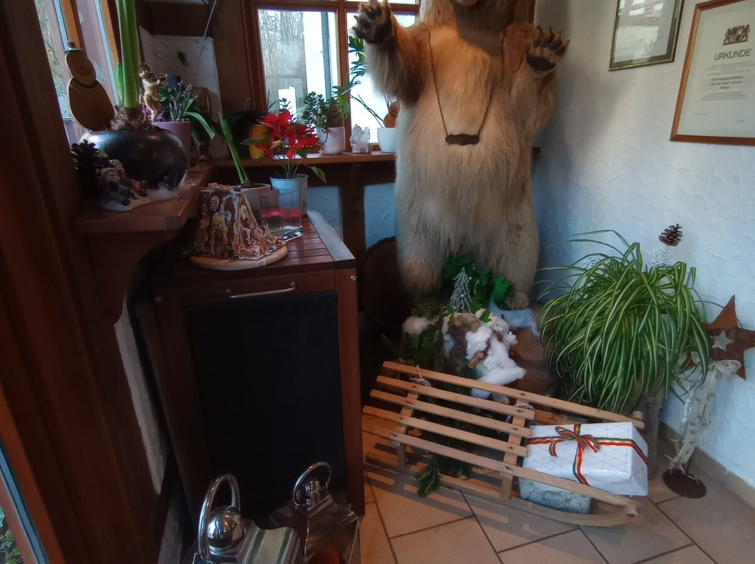 Waldgasthof Wildbad主图