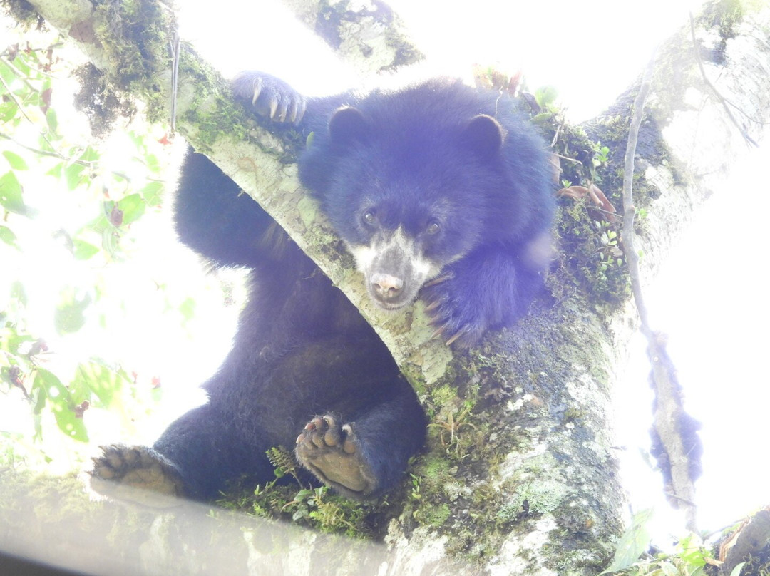 Maquipucuna Reserve-基多必去景点