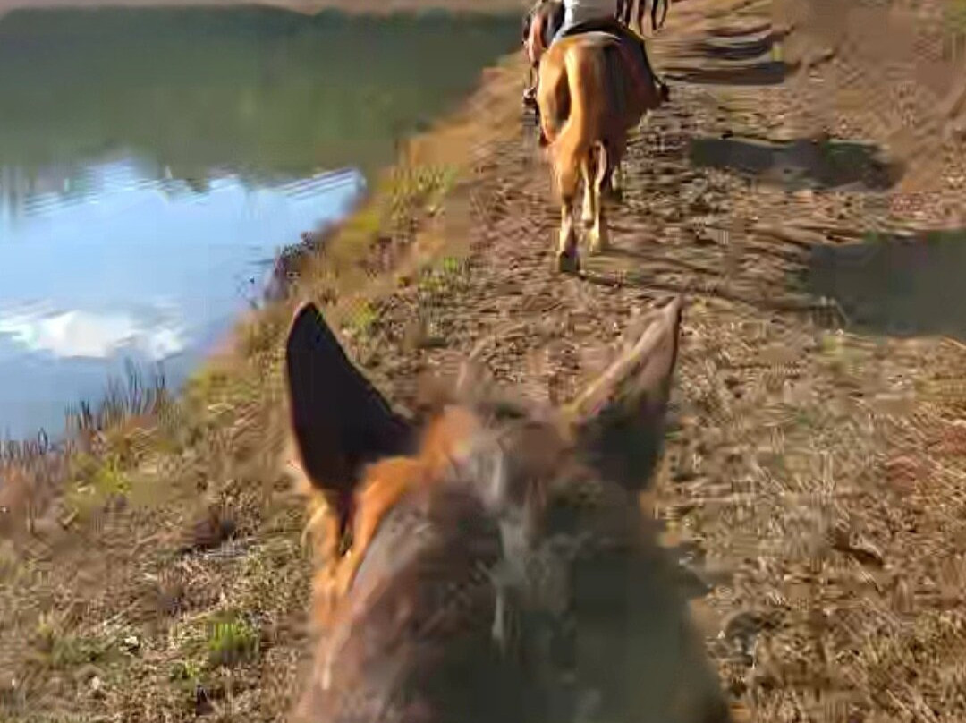 Appalachian Trail Rides-Mineral Bluff必去景点