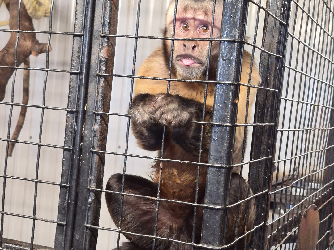 CineZoo-Sainte-Anne-de-la-Rochelle必去景点