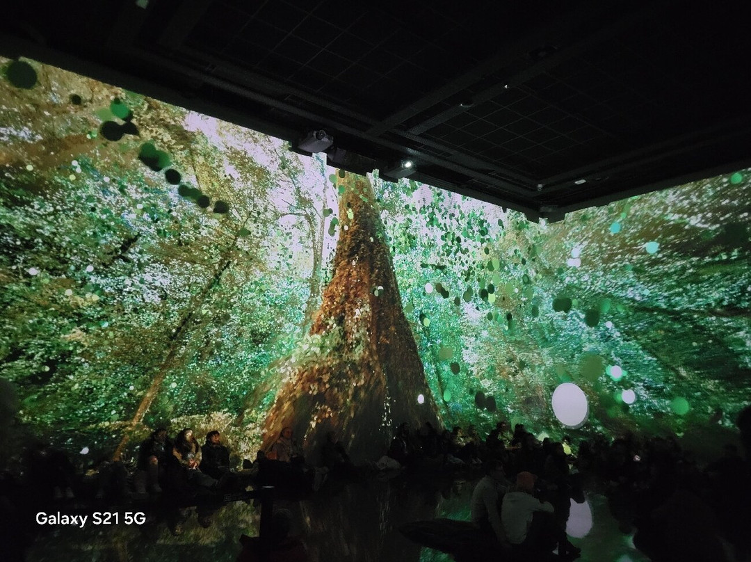 Bassins De Lumières-波尔多必去景点