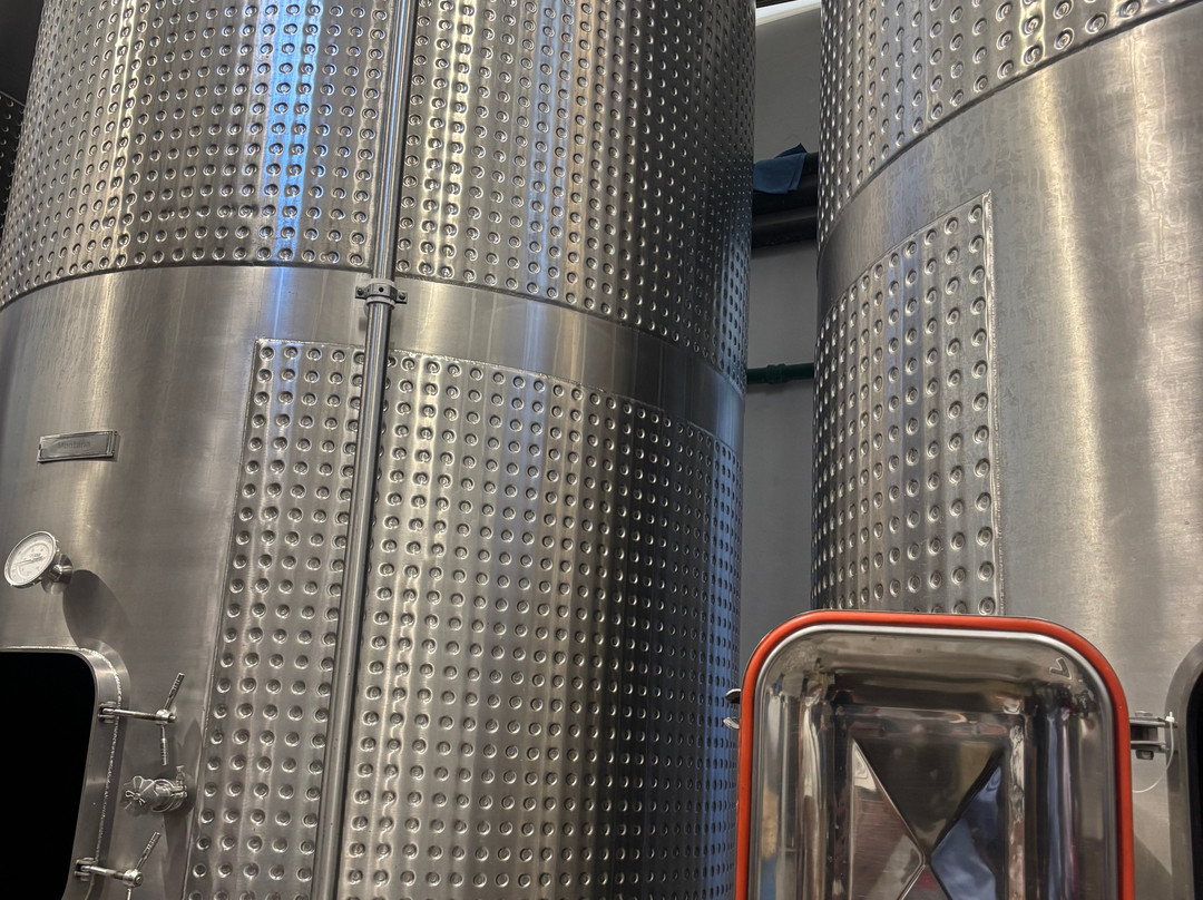 Vinicola Parvada-Parras de la Fuente必去景点