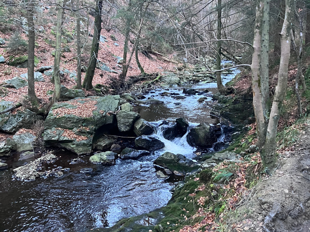 La Vallée de la Hoëgne-Hockai必去景点