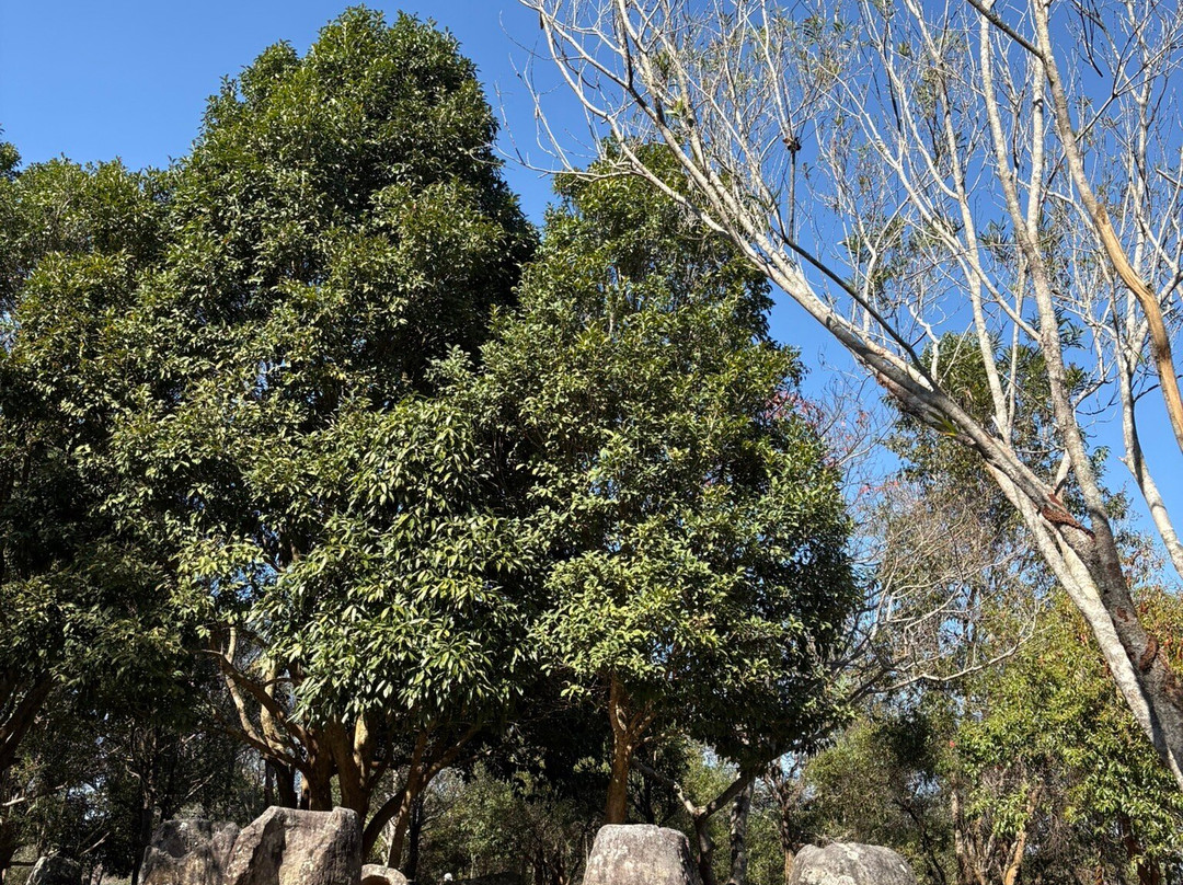 Tey Lassada. Professional Tour guide and driver-Phonsavan必去景点