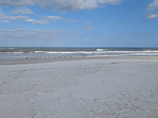 Beachfront Bed & Breakfast主图