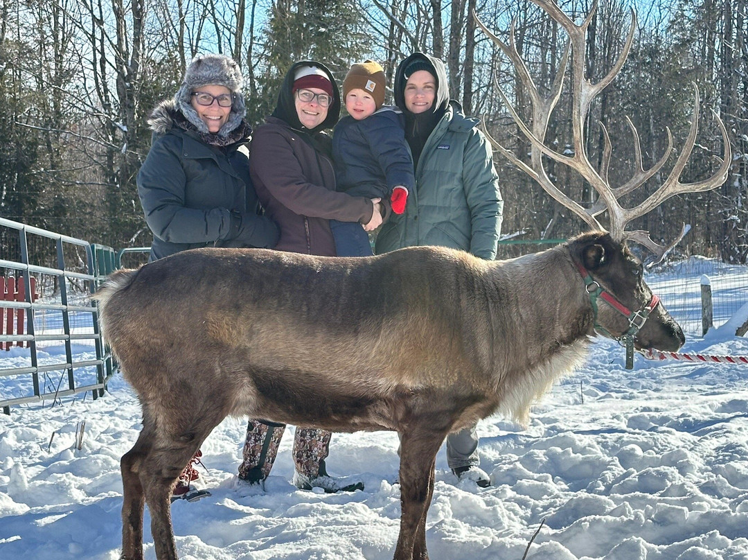 Vermont Reindeer Farm