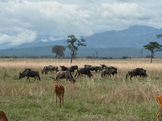 NICE ADVENTURE SAFARI-Dar es Salaam必去景点