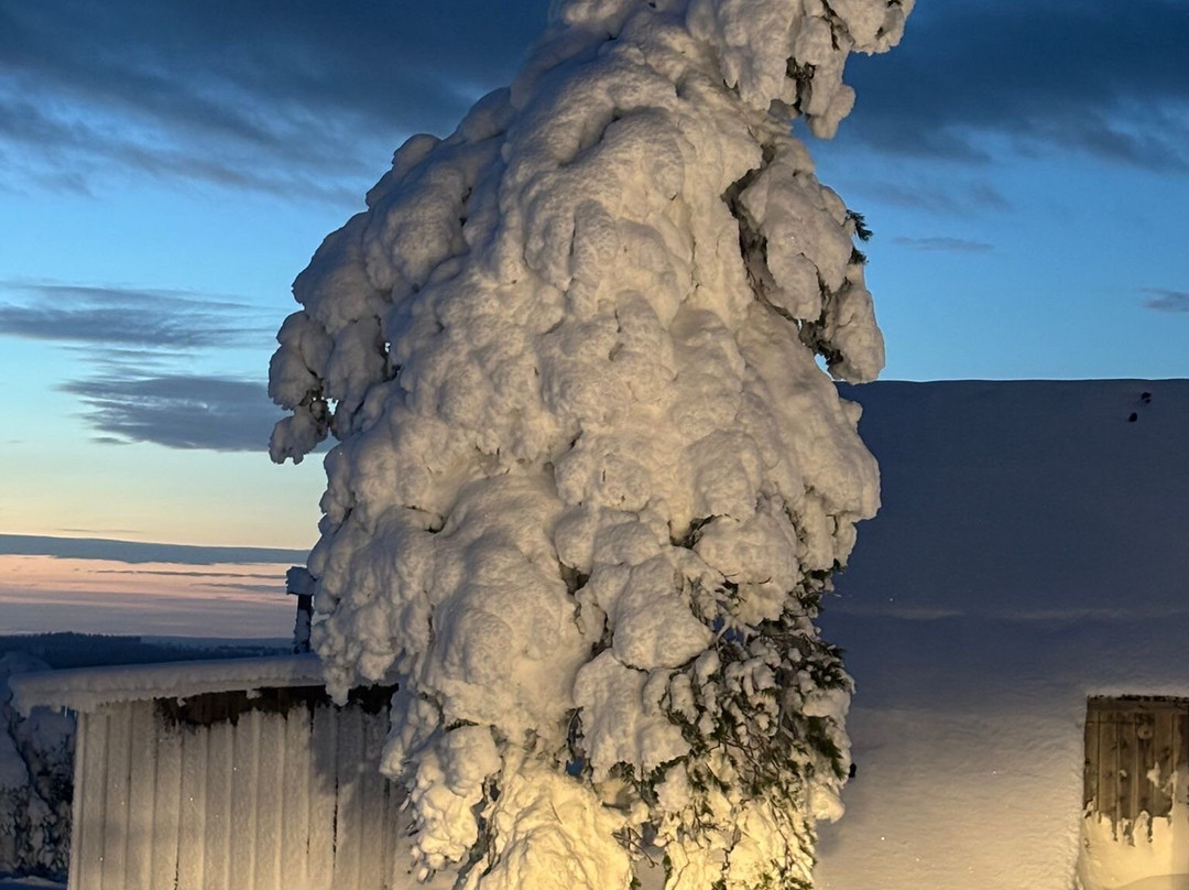 Lapland Safaris Luosto-Luosto必去景点