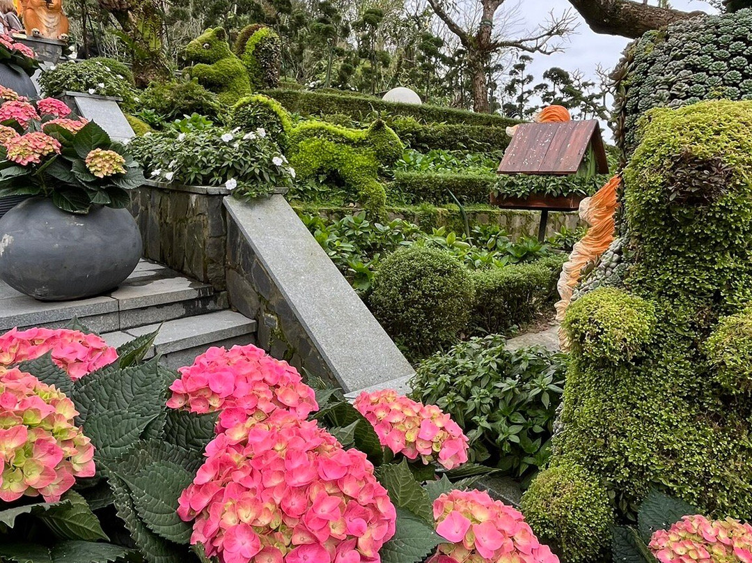 VM Travel Hoi An-会安必去景点