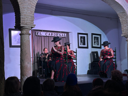 Tablao El Cardenal-科尔多瓦必去景点