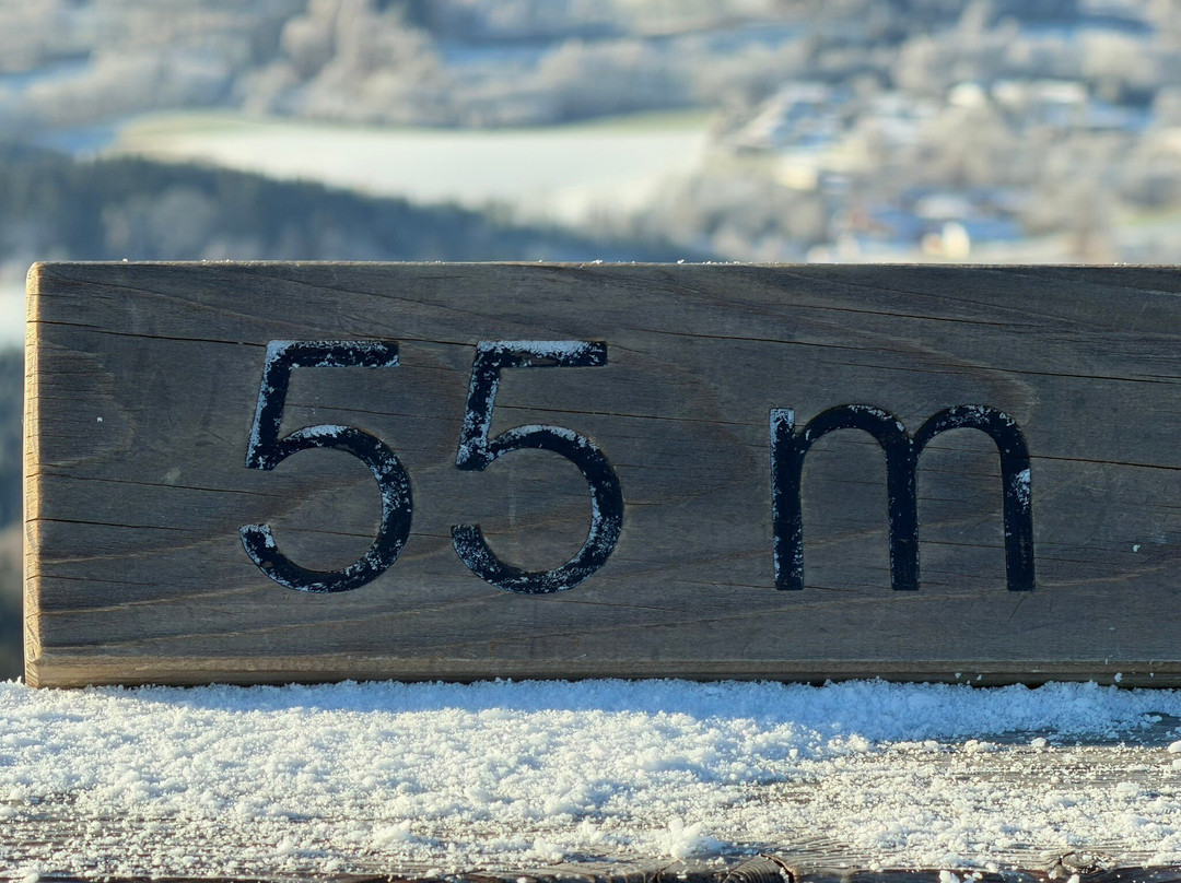 Waldwipfelweg-圣恩尔马尔必去景点