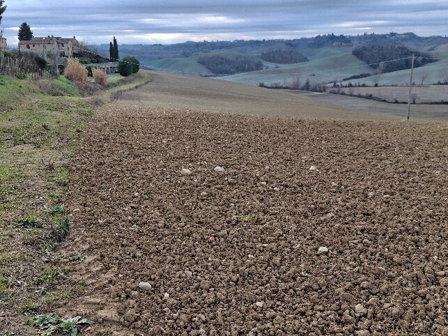 Agriturismo Melariano主图