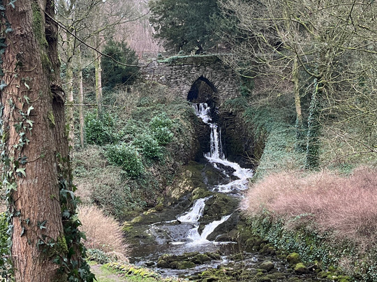 Ingleborough Estate Nature Trail-Clapham必去景点