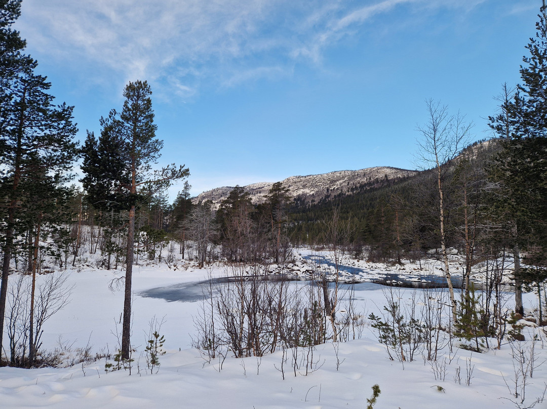 Dagali Opplevelser-耶卢必去景点