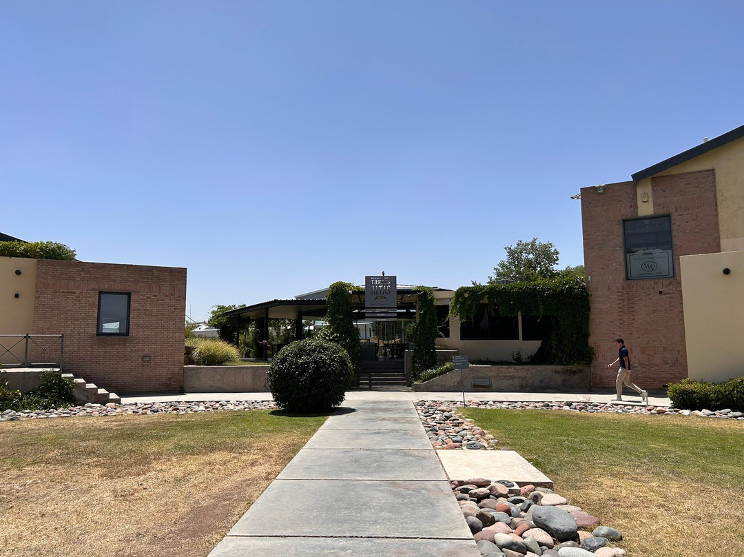 Bodega Tierras Altas-路冉得库约必去景点