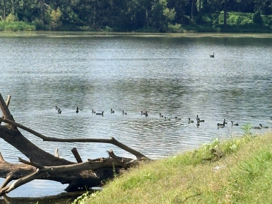 Yarramundi Reseve-Yarramundi必去景点