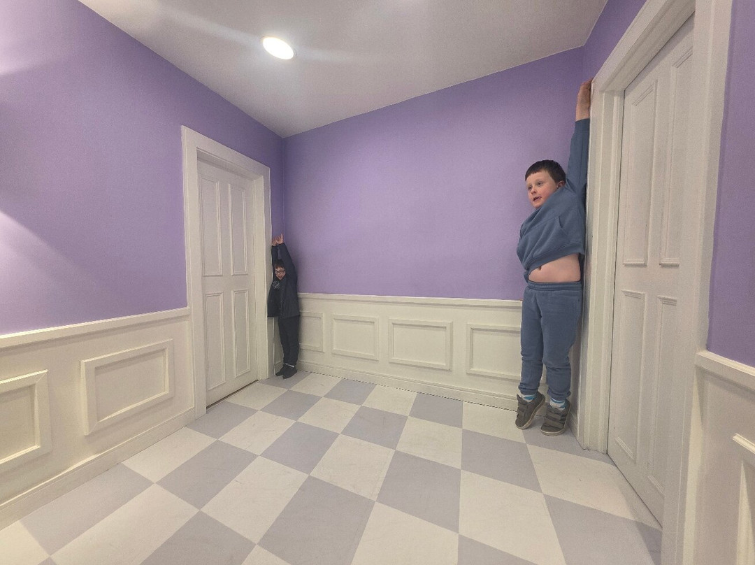 Illusion Museum Dublin