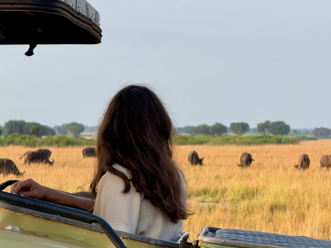 Virunga Gorilla Tours and Eco Safaris-Kisoro必去景点