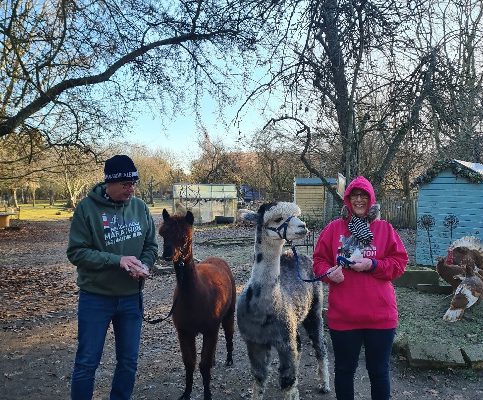 Huckleberry Woods-Faversham必去景点