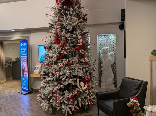 Hotel L'Oiseliere - Montmagny主图