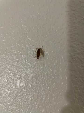 Hampton Inn Atlanta/mcdonough主图