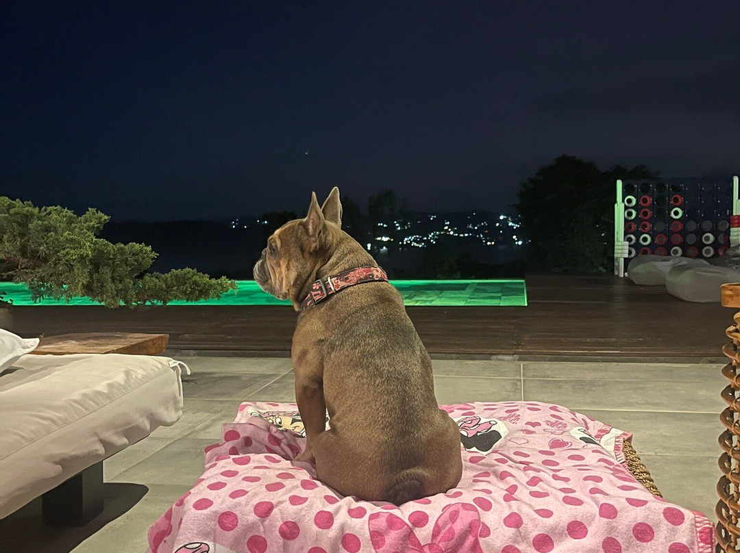 Calima Lake-Valle del Cauca Department必去景点