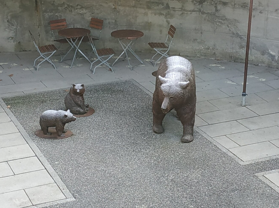 Barenpark-伯尔尼必去景点